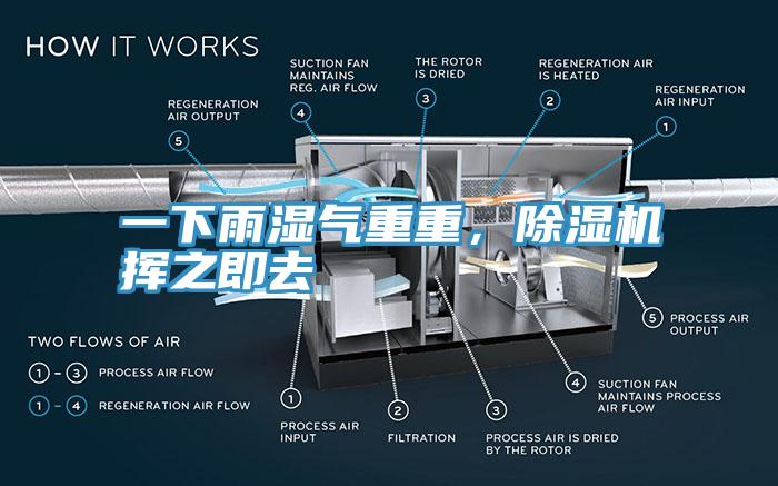 一下雨濕氣重重，除濕機(jī)揮之即去