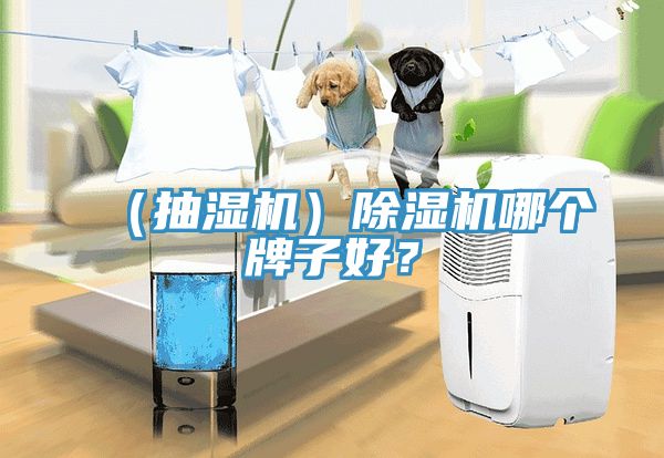 （抽濕機）除濕機哪個牌子好？