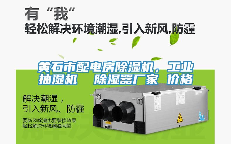 黃石市配電房除濕機，工業(yè)抽濕機  除濕器廠家 價格